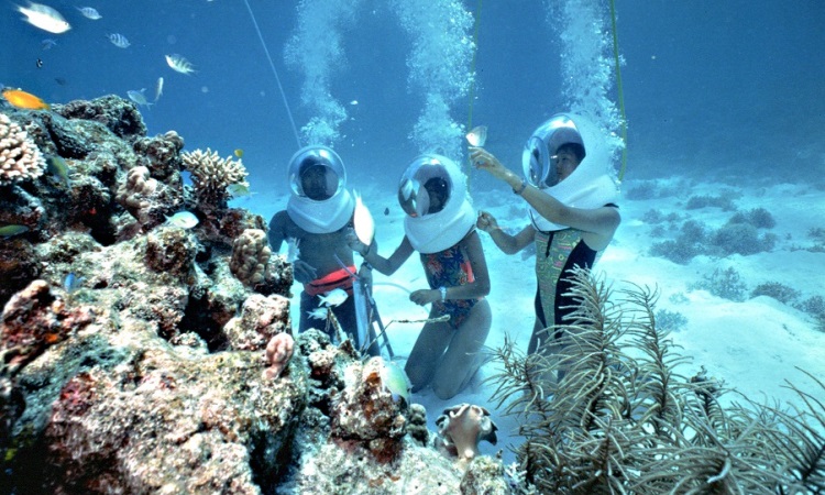 The Ultimate Seawalker Experience