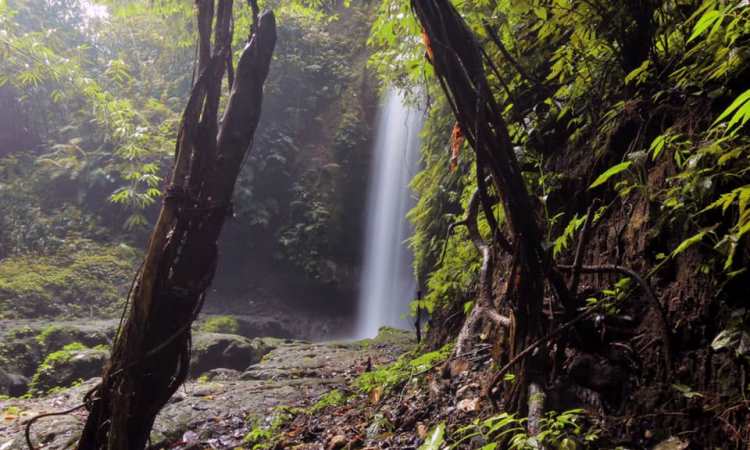 10 Air Terjun di Gianyar Bali yang Paling Hits