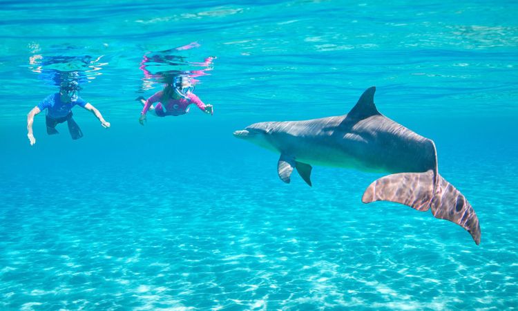 Snorkeling Nusa Penida Bali