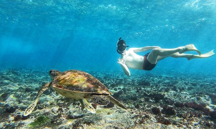 Wisata Crystal Bay Point