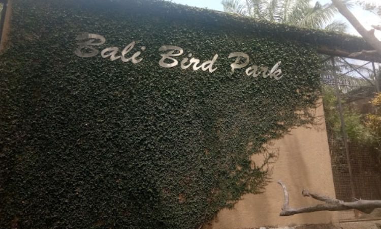 Bali Bird Park, Wisata Edukatif Favorit Keluarga