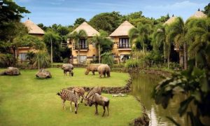 Bali Safari & Marine Park - Daya Tarik, Lokasi & Harga Tiket