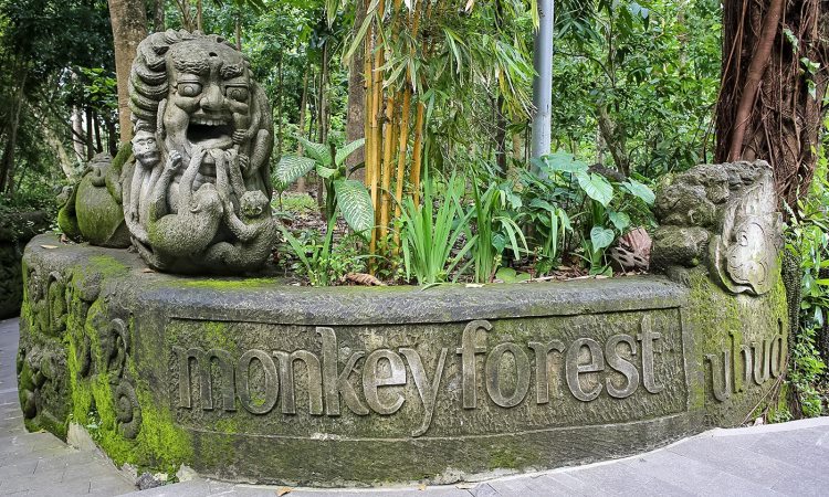 Monkey Forest Ubud, Objek Wisata Favorit di Bali