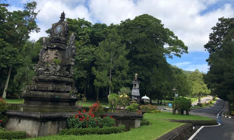 Aktivitas Bedugul Botanical Garden