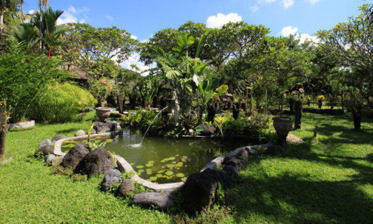 Bali Orchid Garden, Taman Bunga Anggrek Terindah di Pulau Dewata