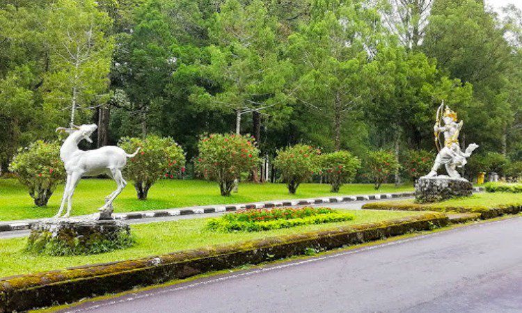 Daya Tarik Kebun Raya Bali