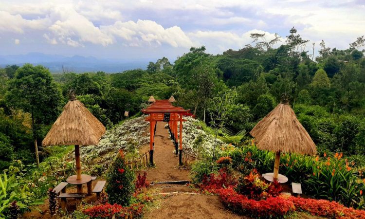 Daya Tarik Taman Jinja Bali