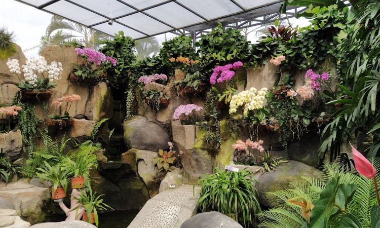 Kegiatan Bali Orchid Garden