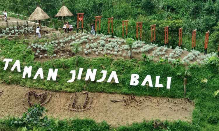 Kegiatan Taman Jinja Bali