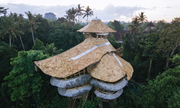 Sharma Springs Bamboo House, Tempat Menginap Unik di Ubud Bali