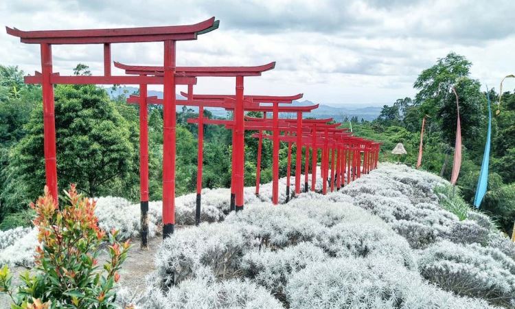 Taman Jinja Bali, Taman Hits Ala Negeri Sakura di Besakih