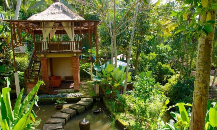 Daya Tarik Museum Seni Agung Rai