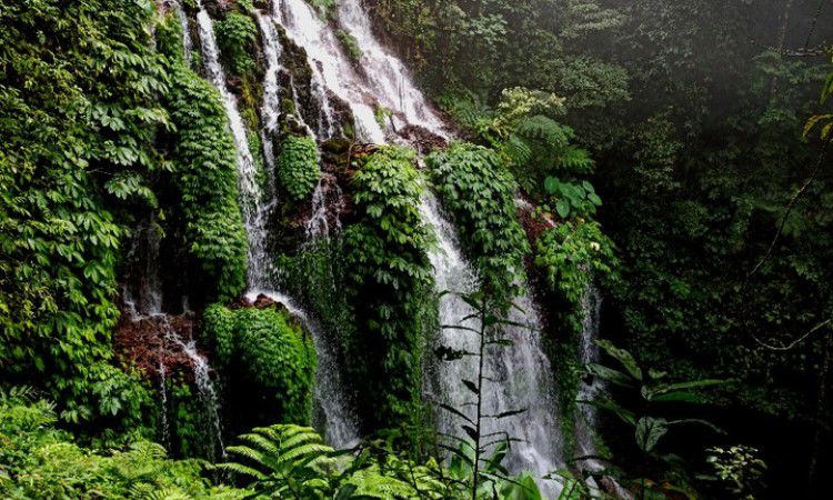 Alamat Banyu Wana Amertha