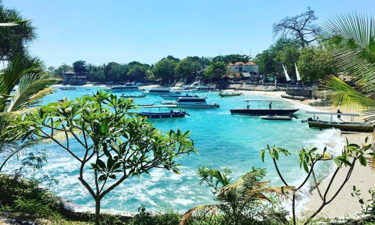 Alamat Pantai Mushroom Bay