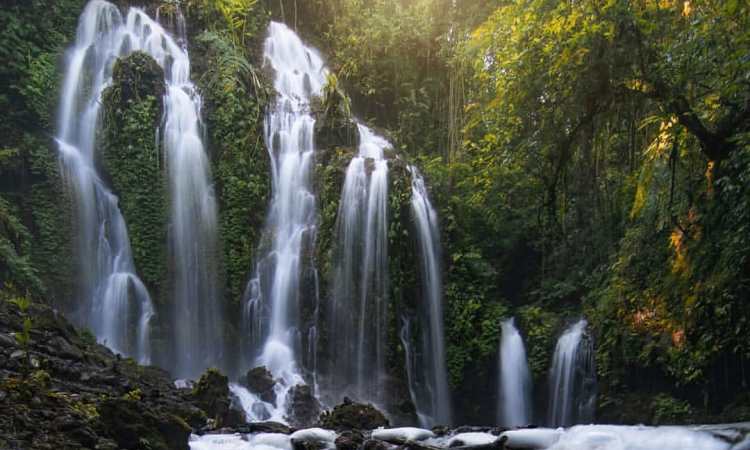 Daya Tarik Air Terjun Banyu Wana Amertha Bali