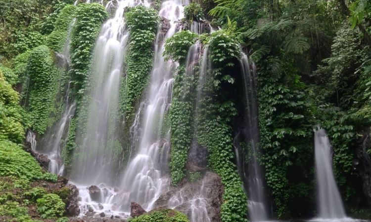 Kegiatan di Wisata Air Terjun Buleleng