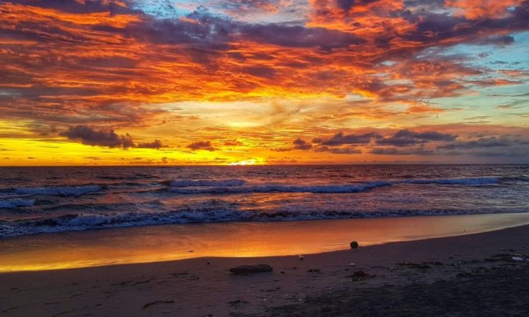 Pantai Canggu, Pantai Favorit Menikmati Sunset di Badung Bali