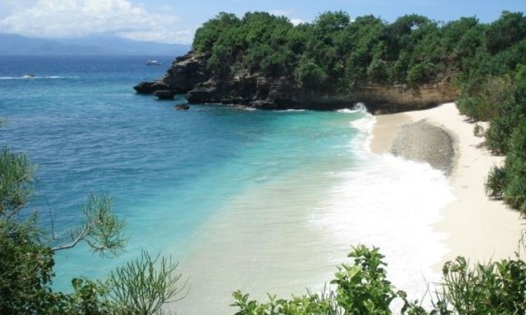 Pantai Mushroom Bay, Pantai Eksotis di Nusa Lembongan Bali