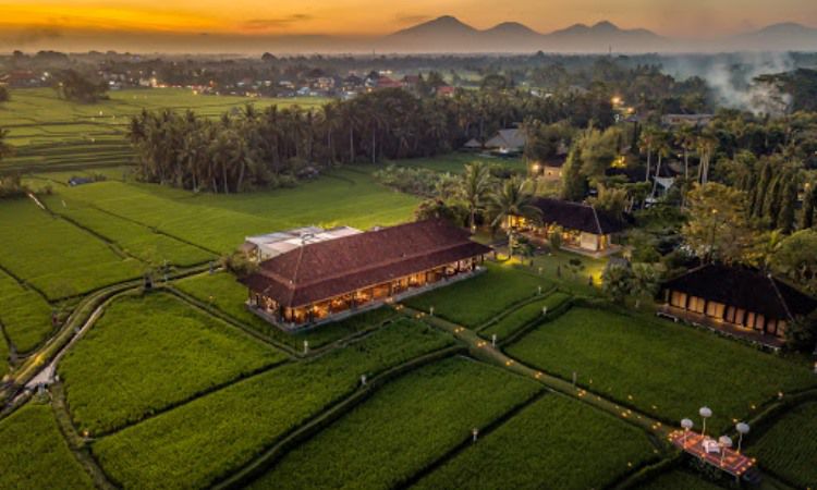 Alamat Resor Tanah Gajah