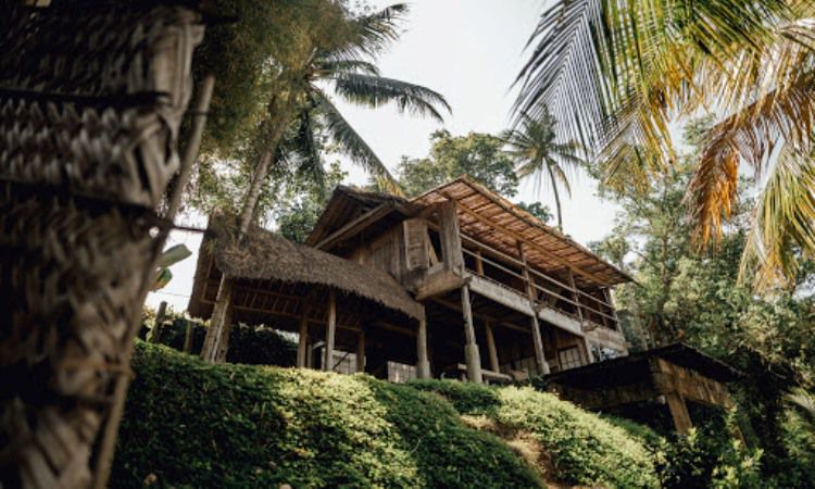 Alamat Zen Hideaway Ubud