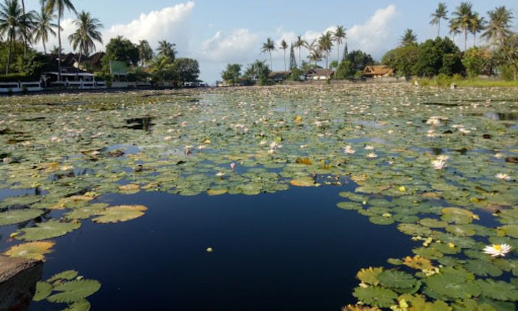 Daya Tarik Lotus Lagoon Candidasa