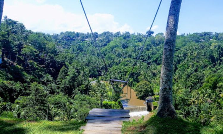 Daya Tarik Zen Hideaway Ubud