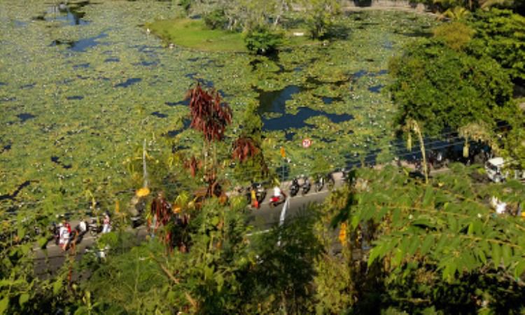 Fasilitas di Lotus Lagoon Bali