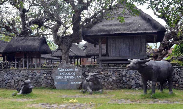 Tenganan Pegringsingan, Desa Wisata yang Unik di Karangasem Bali