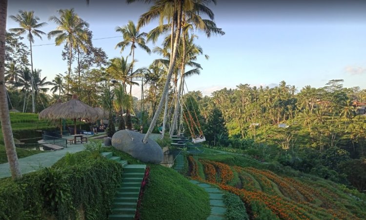 Aloha Ubud Swing, Wanaha Memacu Adrenalin di Giayar Bali