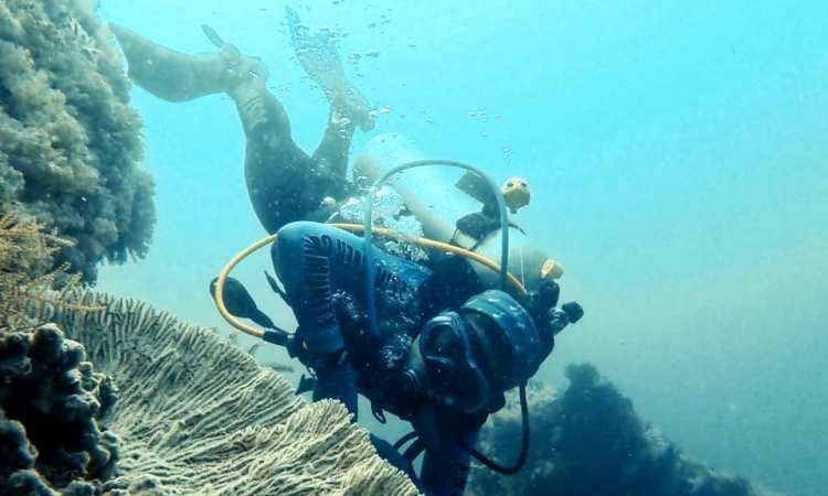 Aktivitas di Gili Gede