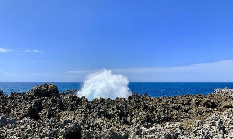 Daya Tarik Water Blow