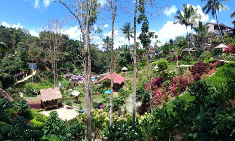 Aktivitas Lain Wahana Sambhrama Ashram