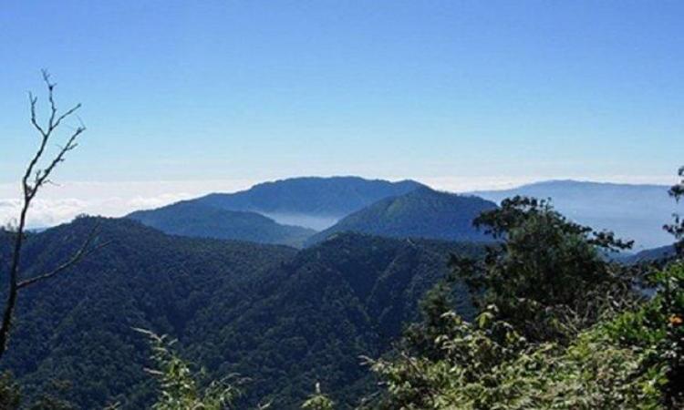 Gunung Batukaru, Tempat Piknik Seru Menikmati Keindahan Alam di Tabanan, Bali
