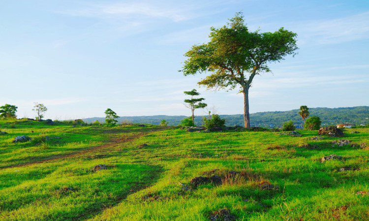 Bukit Cinta, Spot Foto Romantis dengan View Sunset yang Memesona di Kupang