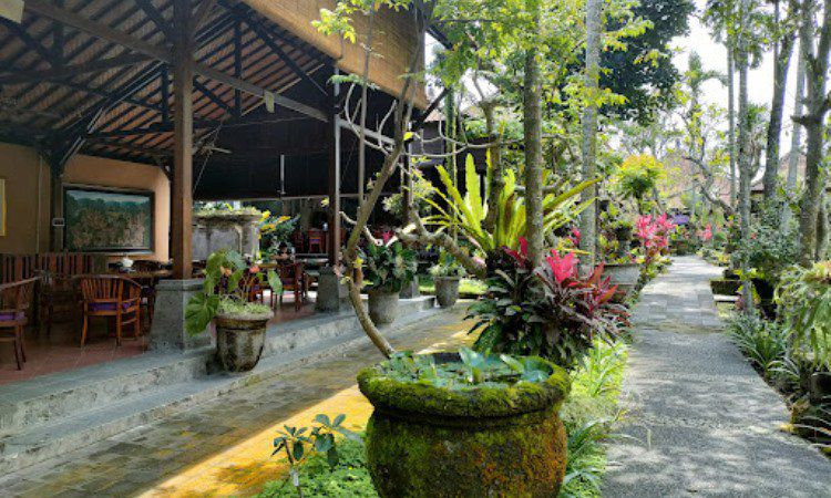 Daya Tarik Restoran Bebek Bengil