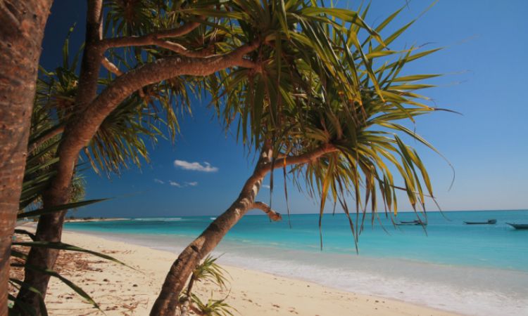 Pesona Pulau Tikus, Surga Bahari Tersembunyi Nan Eksotis di Kupang