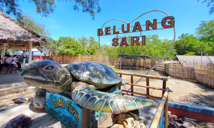 Pulau Penyu Tanjung Benoa, Surga Bahari Tersembunyi Nan Eksotis di Bali