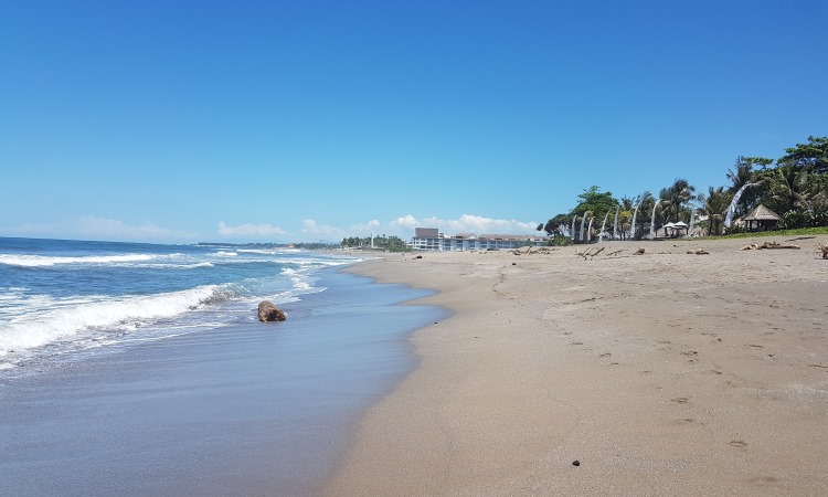 Alamat Pantai Kayu Putih