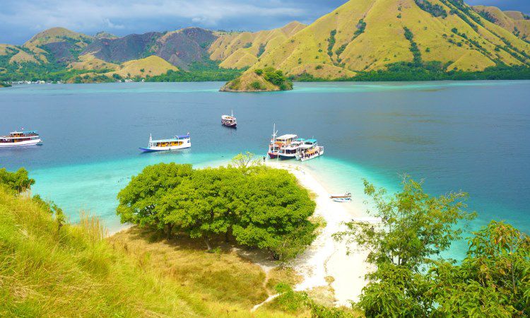 Biaya Berkunjung ke Pulau Rinca