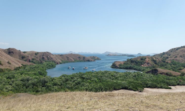 Daya Tarik Pulau Rinca