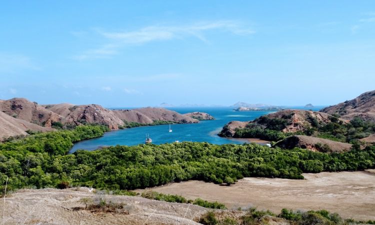 Pulau Rinca, Surga Bahari Eksotis & Perbukitan yang Memukau di Flores