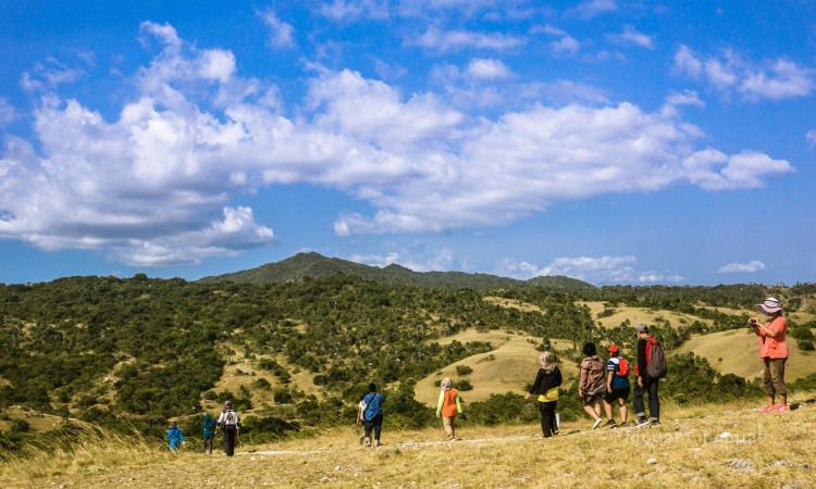 Ragam Aktivitas Menarik Pulau Rinca