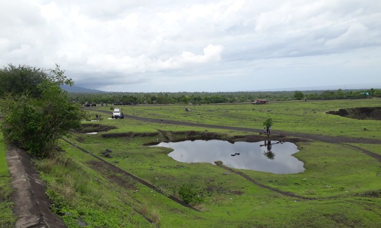 Harga Tiket Masuk Savana Tianyar
