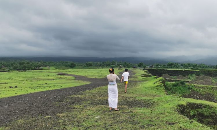 Ragam Aktivitas Menarik Savana Tianyar