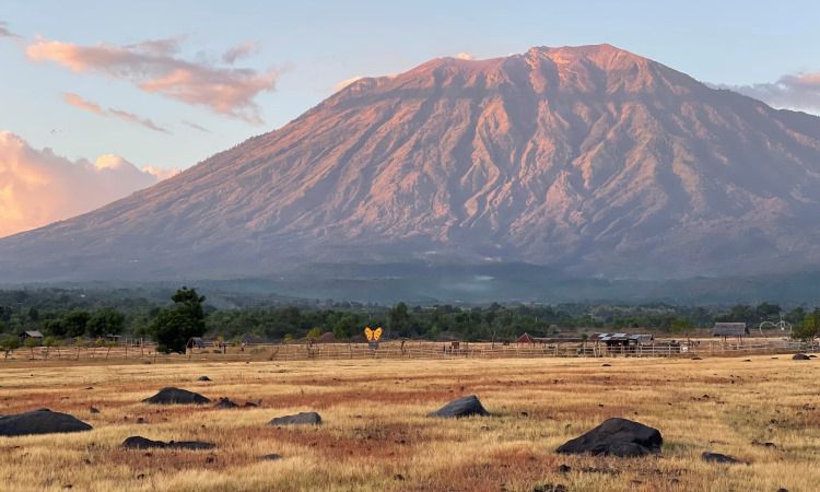 Savana Tianyar, Pesona Padang Rumput Eksotis Ala Afrika di Karangasem