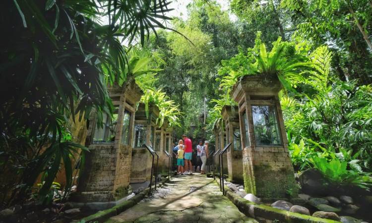 Aktivitas Menarik Dilakukan di Bali Reptil Park