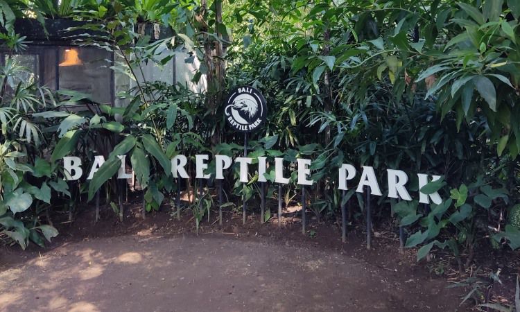 Alamat dan Cara Menuju Lokasi