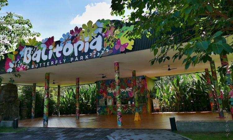 Balitopia Butterfly Park, Destinasi Wisata Edukasi Favorit di Gianyar