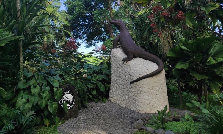 Daya Tarik Bali Reptile Park