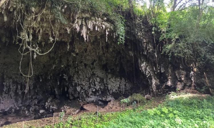 Gua Liang Bua, Situs Prasejarah Manusia Kerdil di Manggarai